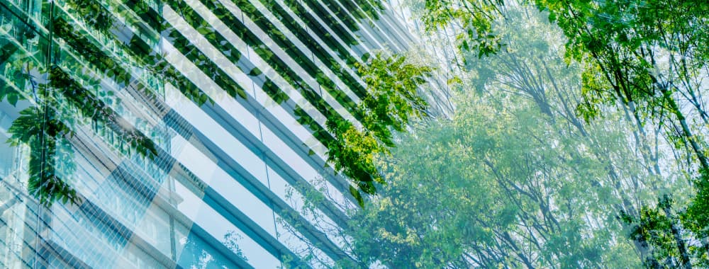 Comprendre le Prêt à impact pour les entreprises